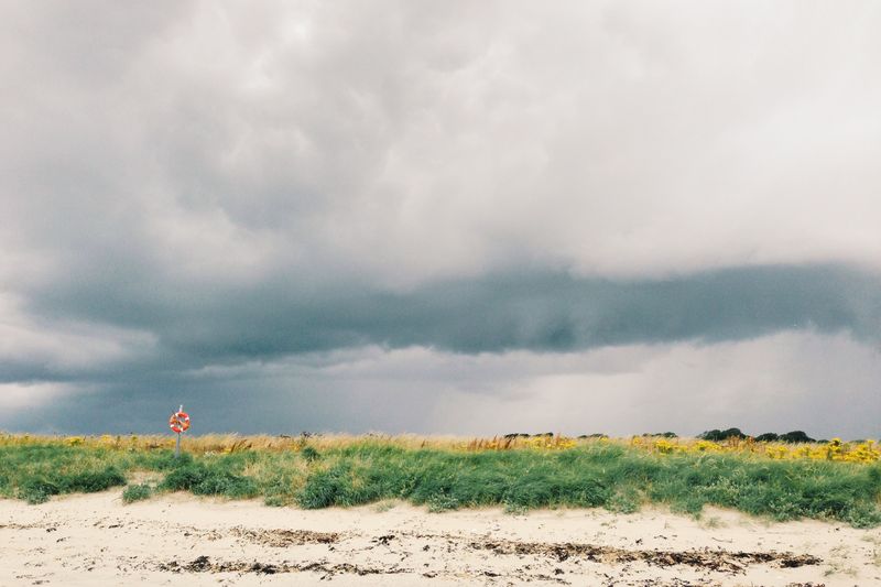 A white sand beach under heavy storm clouds, an orange lifebuoy on a post among dune grass and yellow wildflowers.