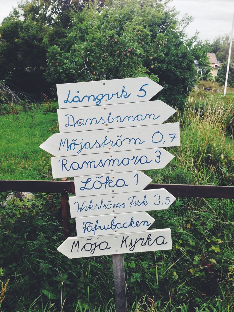 A white wooden signpost with hand-painted blue place names pointing both ways beside a fence, apple trees and long grass behind.