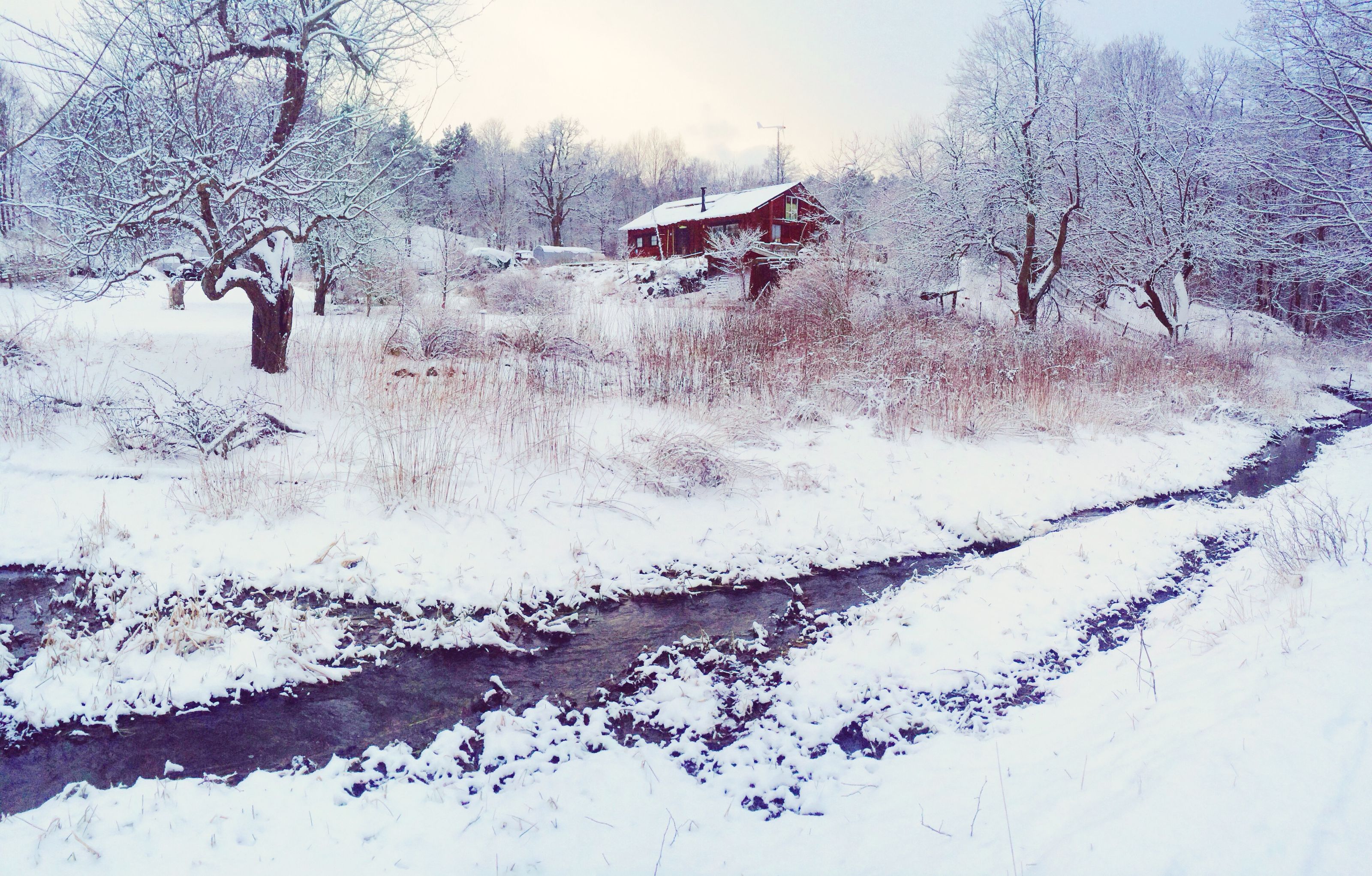A dark stream winding through a snow-covered meadow towards a red wooden house among bare, snow-dusted trees.