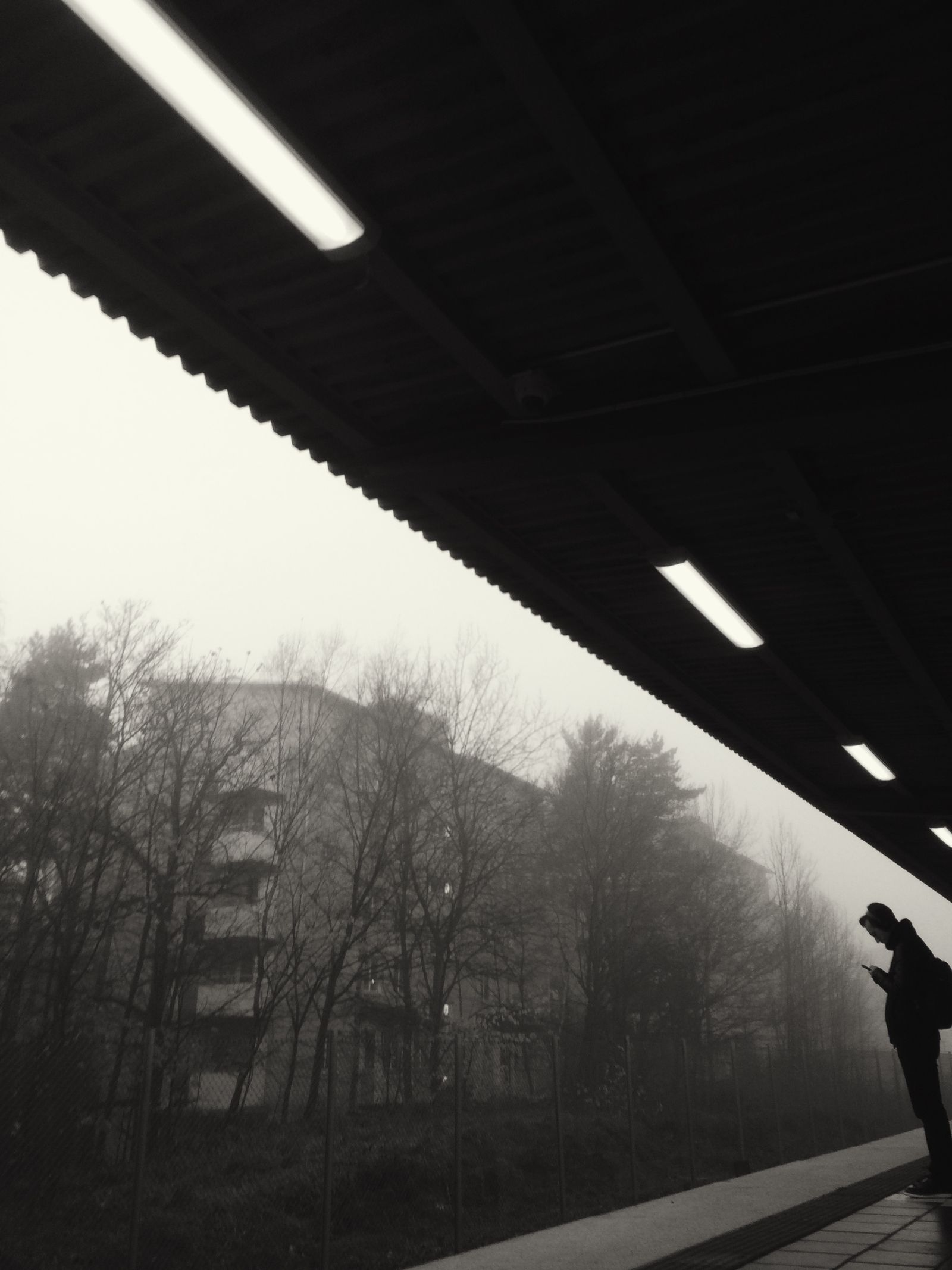 Black and white: a figure checking their phone on a station platform, fog swallowing the trees and building beyond the canopy.