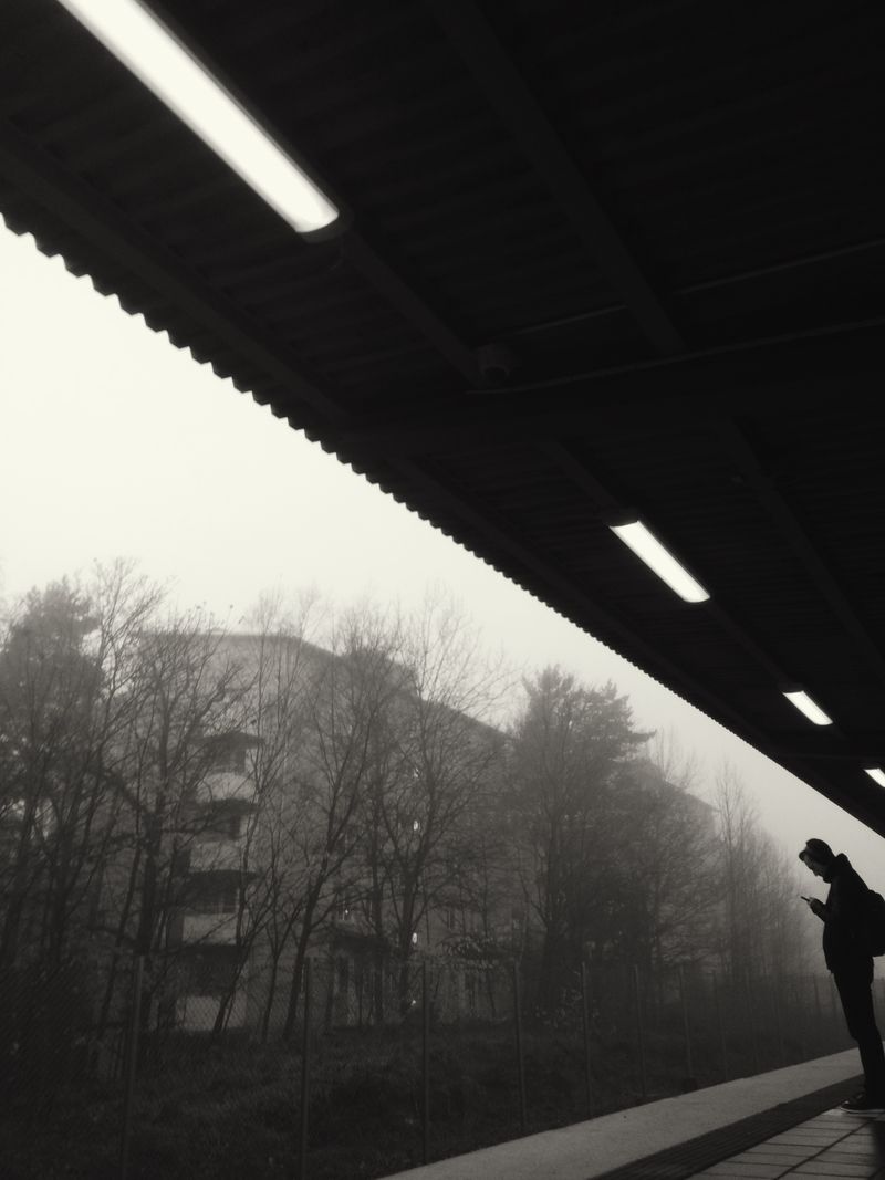 Black and white: a figure checking their phone on a station platform, fog swallowing the trees and building beyond the canopy.