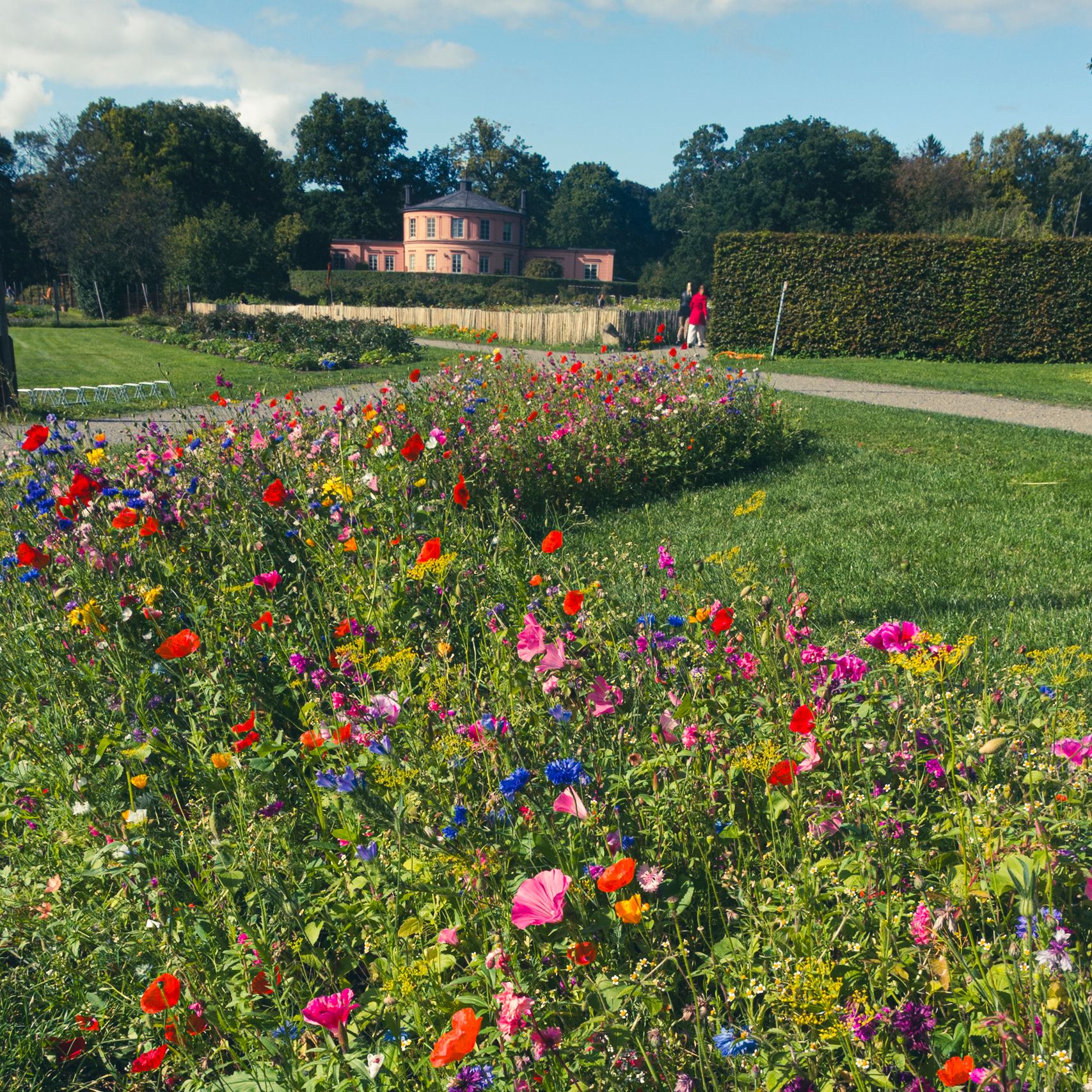 A bed of mixed summer flowers in the foreground of a park, with a pink pavilion and a clipped hedge beyond.